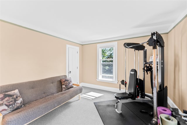 221 S Gilboa Rd, Stamford, NY 12167 - photo 36