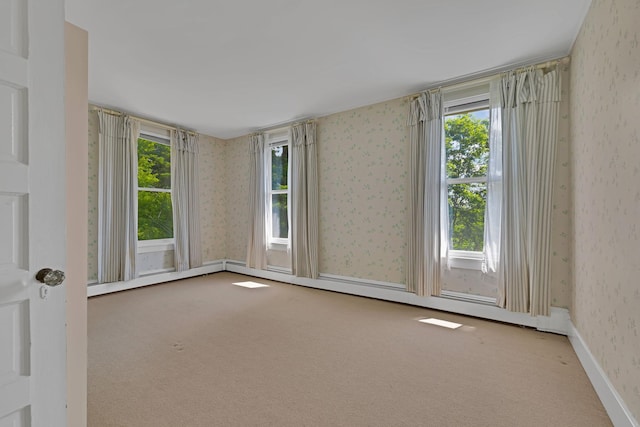 529 Prospect Hill Rd, Cuddebackville, NY 12729 - photo 36