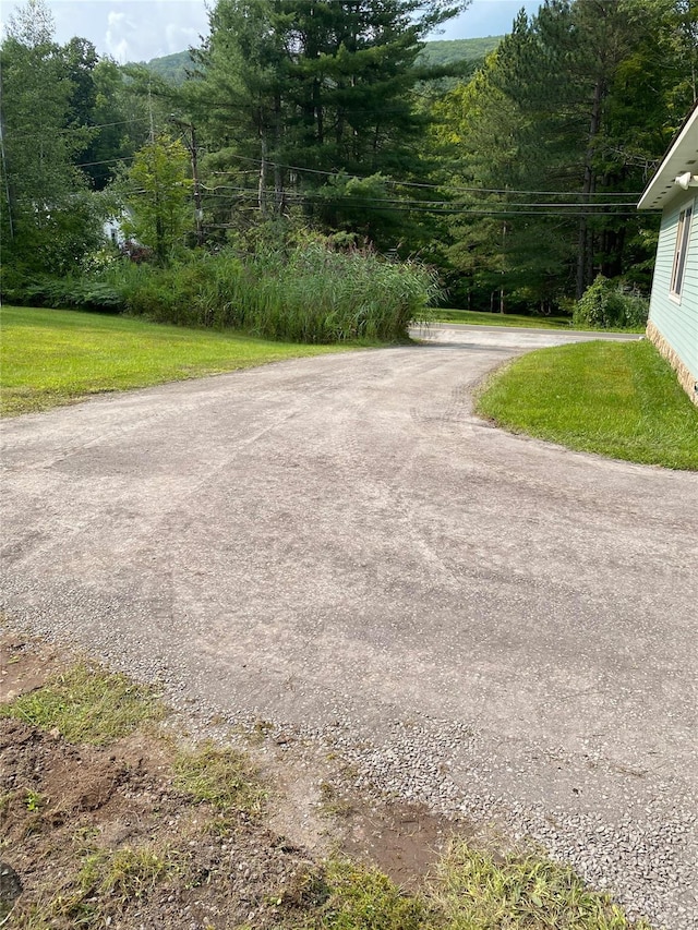 76 Firehouse Rd, Big Indian, NY 12410 - photo 7