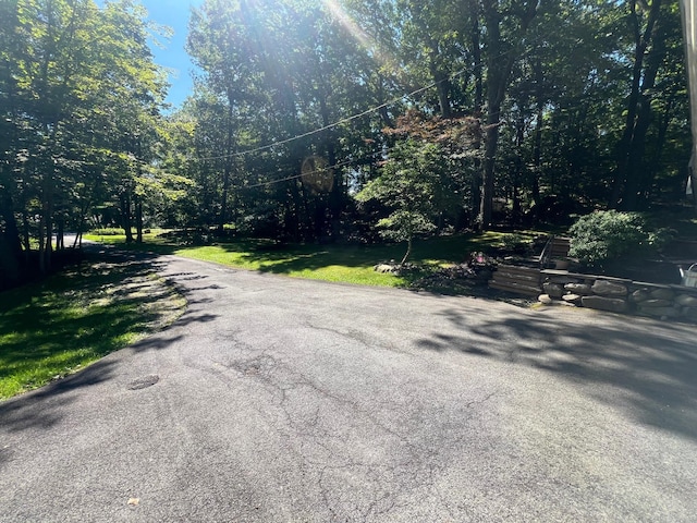 1179 E Mombasha Rd, Monroe, NY 10950 - photo 3