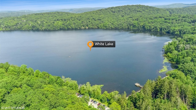 40 Kentview Dr, Kent Lakes, NY 10512 - photo 33
