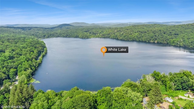 40 Kentview Dr, Kent Lakes, NY 10512 - photo 34