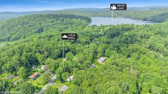40 Kentview Dr, Kent Lakes, NY 10512 - photo 36