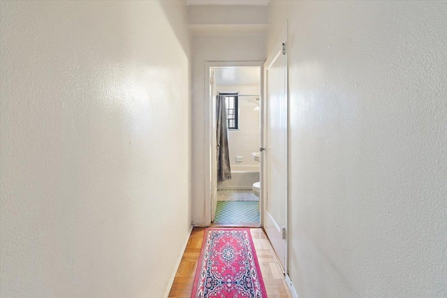 2200 E Tremont Ave Unit 5A, Bronx, NY 10462 - photo 12