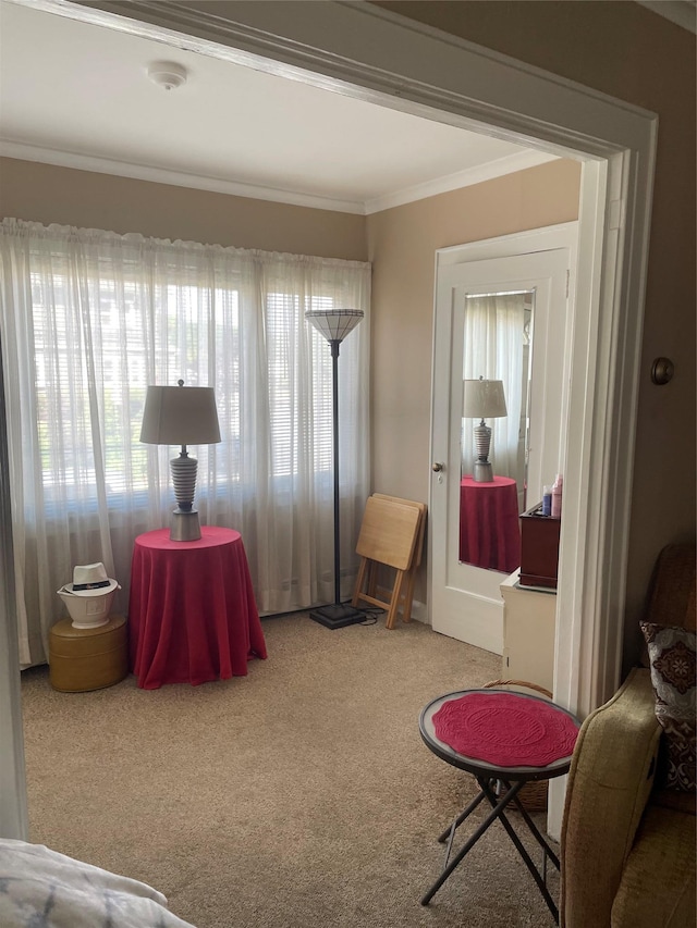 43-17 248th St, Little Neck, NY 11363 - photo 4