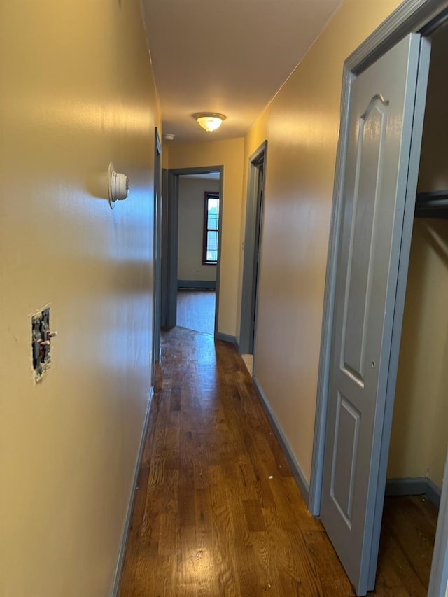 184 Milford St, Brooklyn, NY 11208 - photo 14
