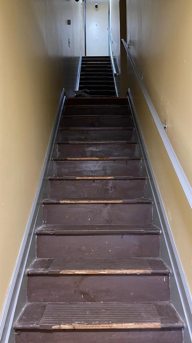 184 Milford St, Brooklyn, NY 11208 - photo 20