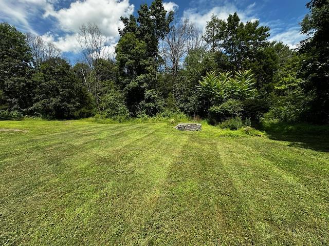 113 Rossway Rd, Pleasant Valley, NY 12569 - photo 5