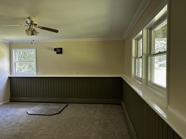 113 Rossway Rd, Pleasant Valley, NY 12569 - photo 16
