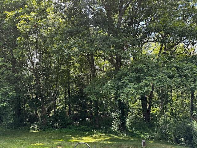 113 Rossway Rd, Pleasant Valley, NY 12569 - photo 18