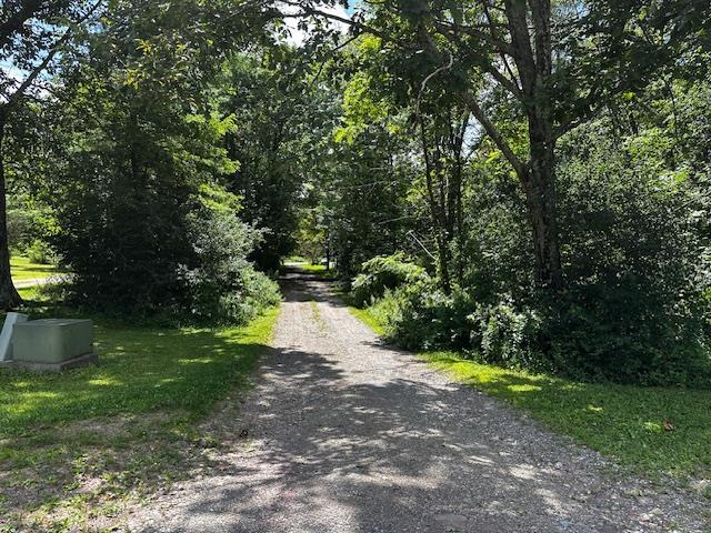 113 Rossway Rd, Pleasant Valley, NY 12569 - photo 19