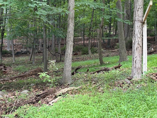 36 Clausland Mountain Rd, Blauvelt, NY 10913 - photo 3