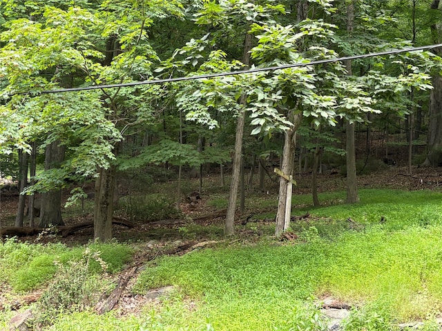 36 Clausland Mountain Rd, Blauvelt, NY 10913 - photo 4