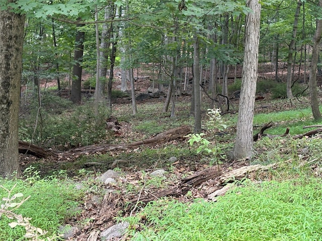 36 Clausland Mountain Rd, Blauvelt, NY 10913 - photo 16