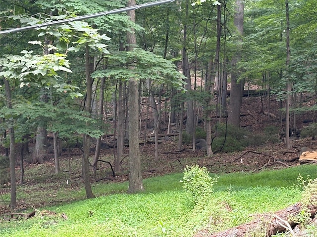 36 Clausland Mountain Rd, Blauvelt, NY 10913 - photo 19