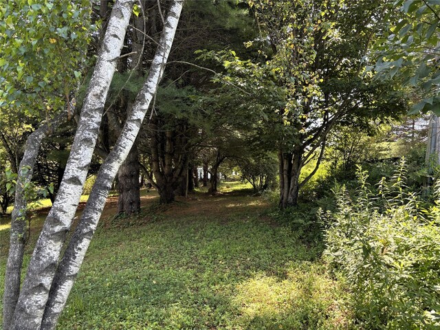 2082 Ulster Heights Rd, Woodbourne, NY 12788 - photo 38
