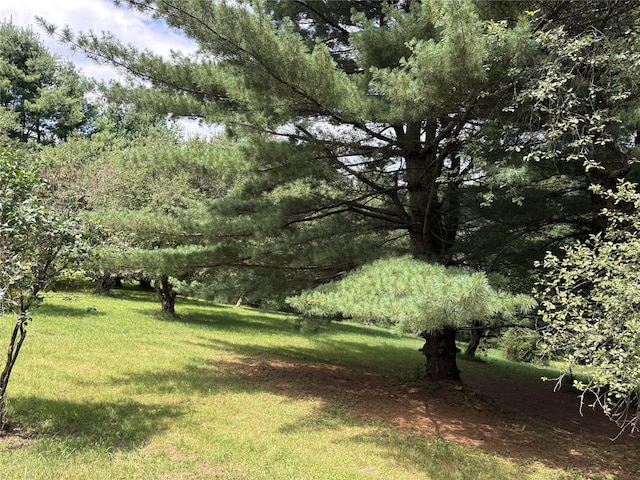 2082 Ulster Heights Rd, Woodbourne, NY 12788 - photo 39