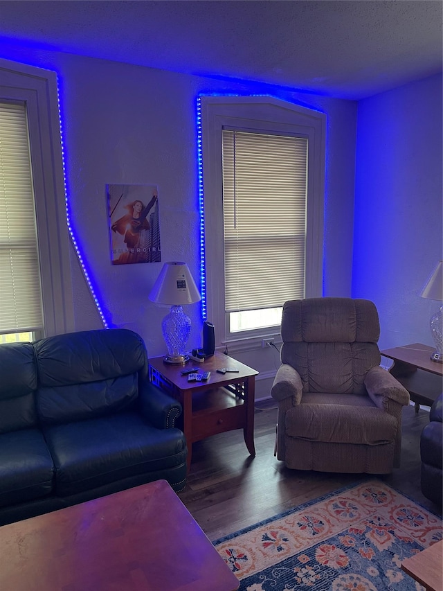 40A Lambert, Fredonia, NY 14063 - photo 24