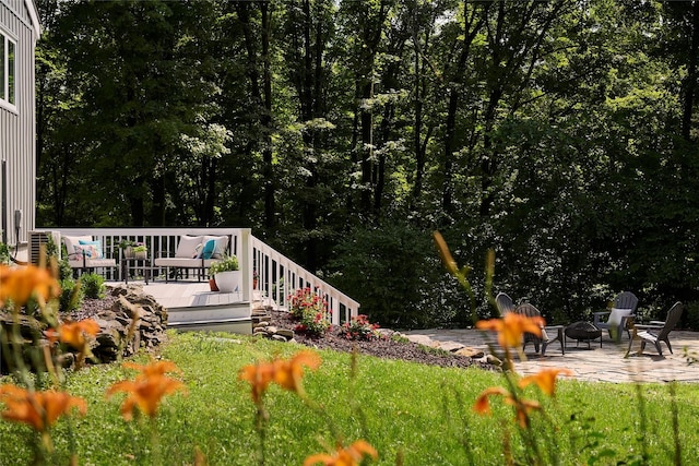 28 Hurley Rd, Salt Point, NY 12569 - photo 41