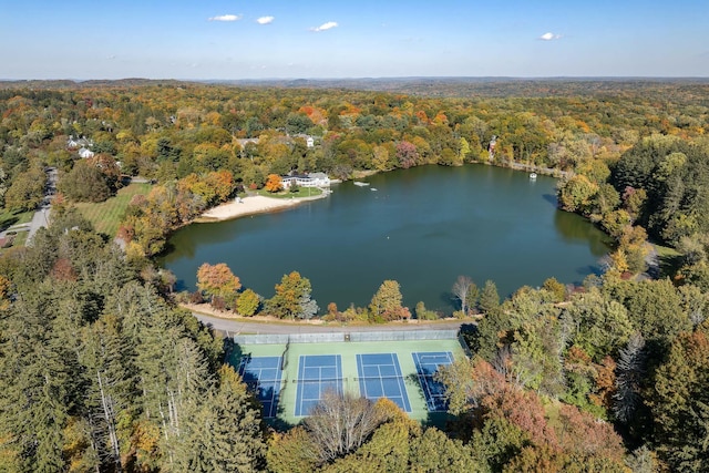 4 Fox Ridge Ct, Armonk, NY 10504 - photo 30