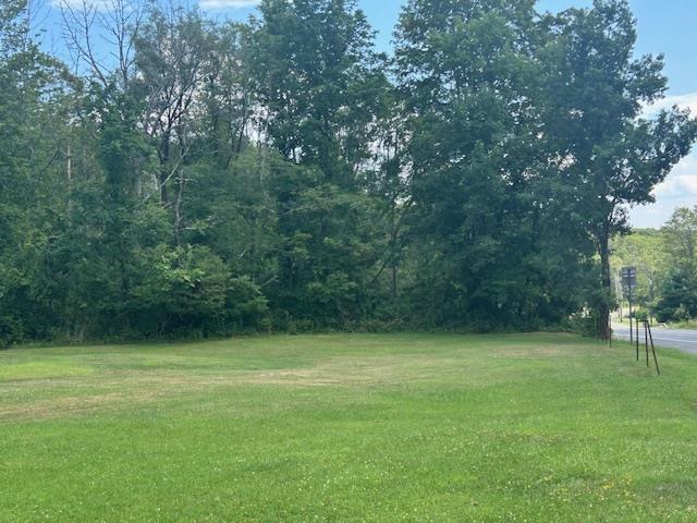 6 Cragsmoor Rd, Pine Bush, NY 12566 - photo 11