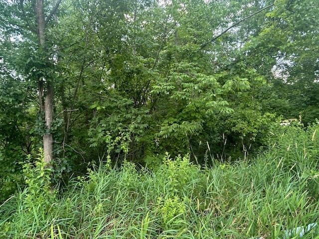 6 Cragsmoor Rd, Pine Bush, NY 12566 - photo 15