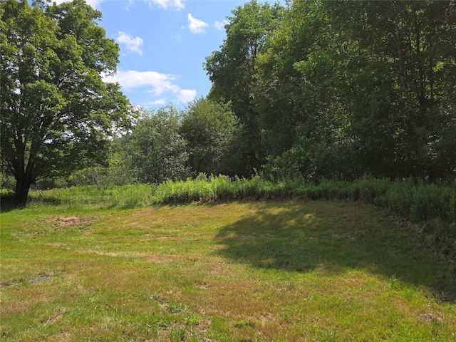 253 Harris Bushville Rd, Monticello, NY 12701 - photo 25