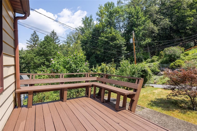 3519 Hillside St, Mohegan Lake, NY 10547 - photo 24