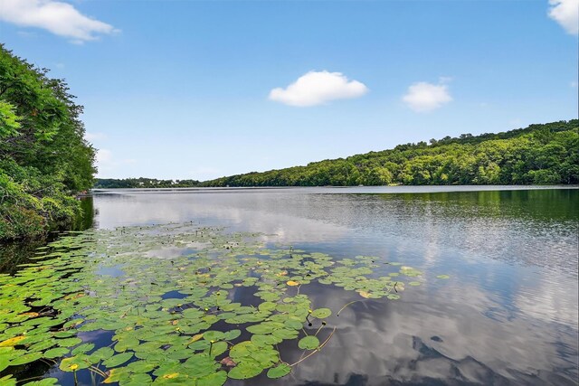 10 Eagle St, Monroe, NY 10950 - photo 36