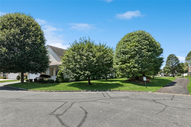 13 Graycrest Ct, Mount Sinai, NY 11766 - photo 6