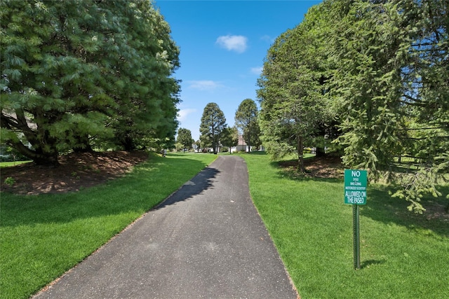 13 Graycrest Ct, Mount Sinai, NY 11766 - photo 7