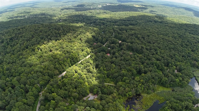 727 Farmers Mills Rd, Carmel, NY 10512 - photo 6