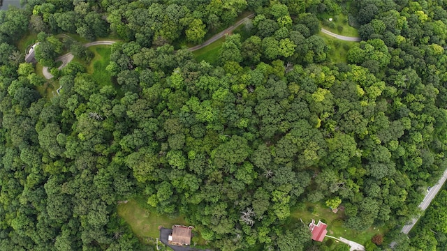 727 Farmers Mills Rd, Carmel, NY 10512 - photo 9