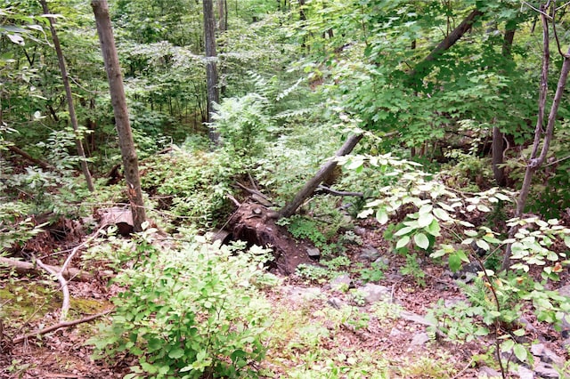 727 Farmers Mills Rd, Carmel, NY 10512 - photo 11