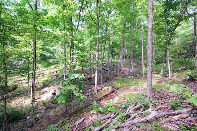 727 Farmers Mills Rd, Carmel, NY 10512 - photo 14