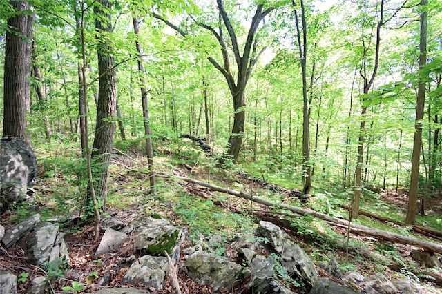727 Farmers Mills Rd, Carmel, NY 10512 - photo 15