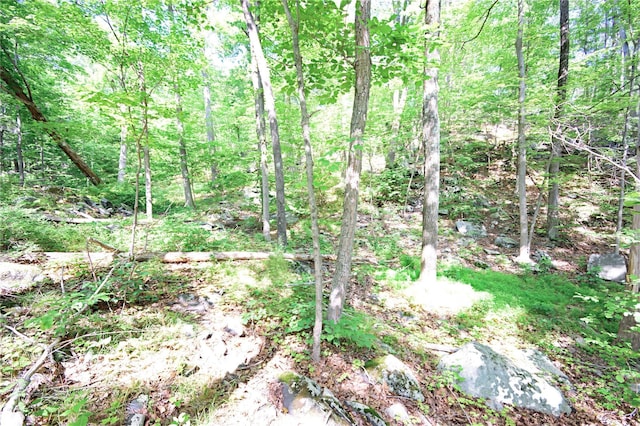 727 Farmers Mills Rd, Carmel, NY 10512 - photo 16