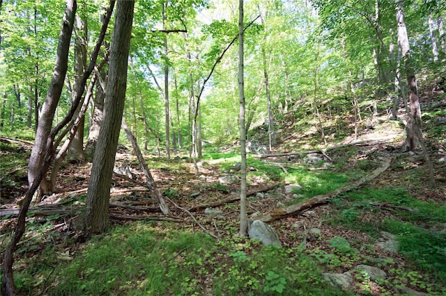 727 Farmers Mills Rd, Carmel, NY 10512 - photo 17