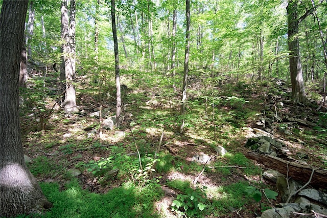 727 Farmers Mills Rd, Carmel, NY 10512 - photo 18
