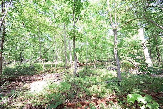 727 Farmers Mills Rd, Carmel, NY 10512 - photo 19