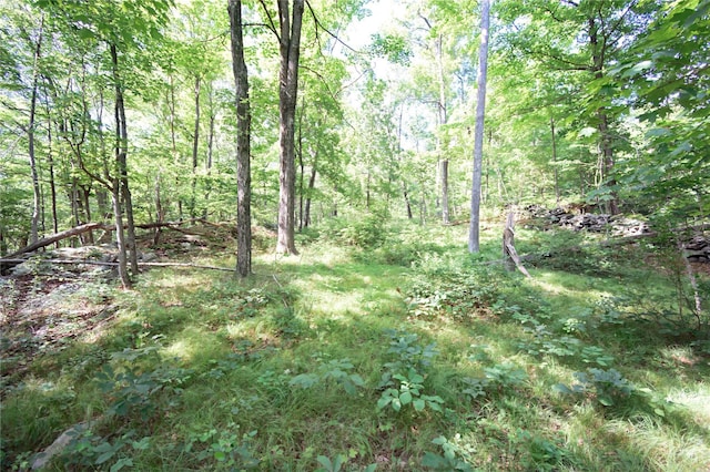 727 Farmers Mills Rd, Carmel, NY 10512 - photo 20