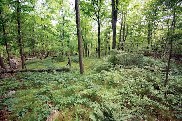 727 Farmers Mills Rd, Carmel, NY 10512 - photo 21