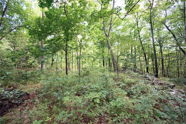 727 Farmers Mills Rd, Carmel, NY 10512 - photo 22
