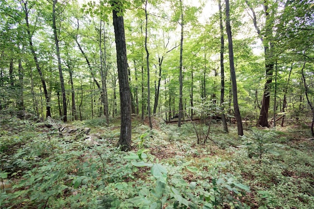 727 Farmers Mills Rd, Carmel, NY 10512 - photo 23