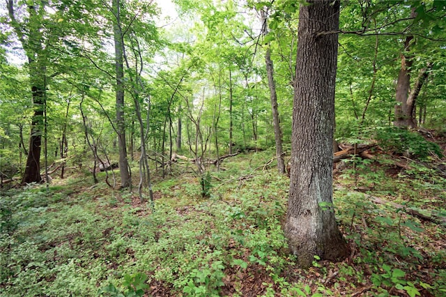 727 Farmers Mills Rd, Carmel, NY 10512 - photo 24