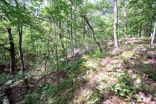 727 Farmers Mills Rd, Carmel, NY 10512 - photo 25
