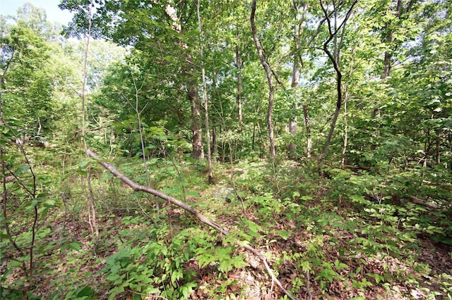 727 Farmers Mills Rd, Carmel, NY 10512 - photo 26