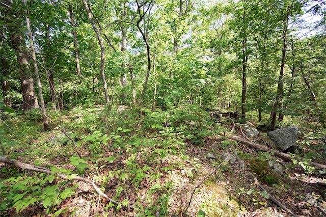 727 Farmers Mills Rd, Carmel, NY 10512 - photo 27