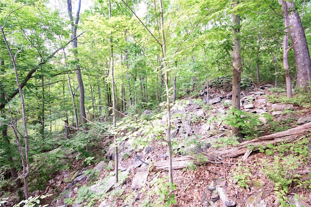 727 Farmers Mills Rd, Carmel, NY 10512 - photo 28