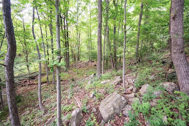 727 Farmers Mills Rd, Carmel, NY 10512 - photo 29